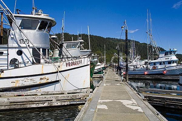 海洋水温异常美国南加州渔业遇艰难"寒冬"